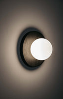 Tablet 6 Sconce